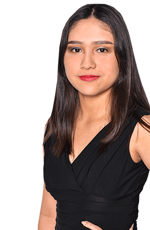 Artemis Dealer Image